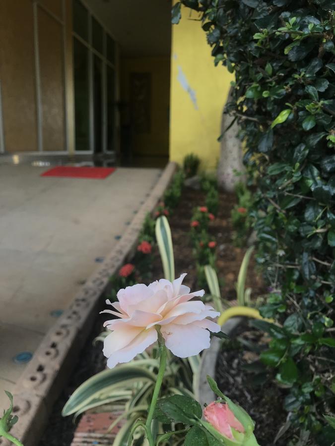 더 M 보케오 호텔 Huay Xai 외부 사진